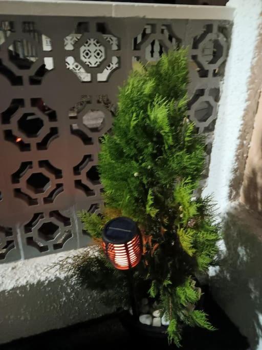 Cozy Bungalow In Urb La Marina With Shared Pool San Fulgencio エクステリア 写真